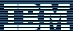 IBM Mexico